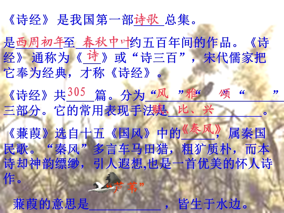 《蒹葭》ppt课件.ppt_第2页