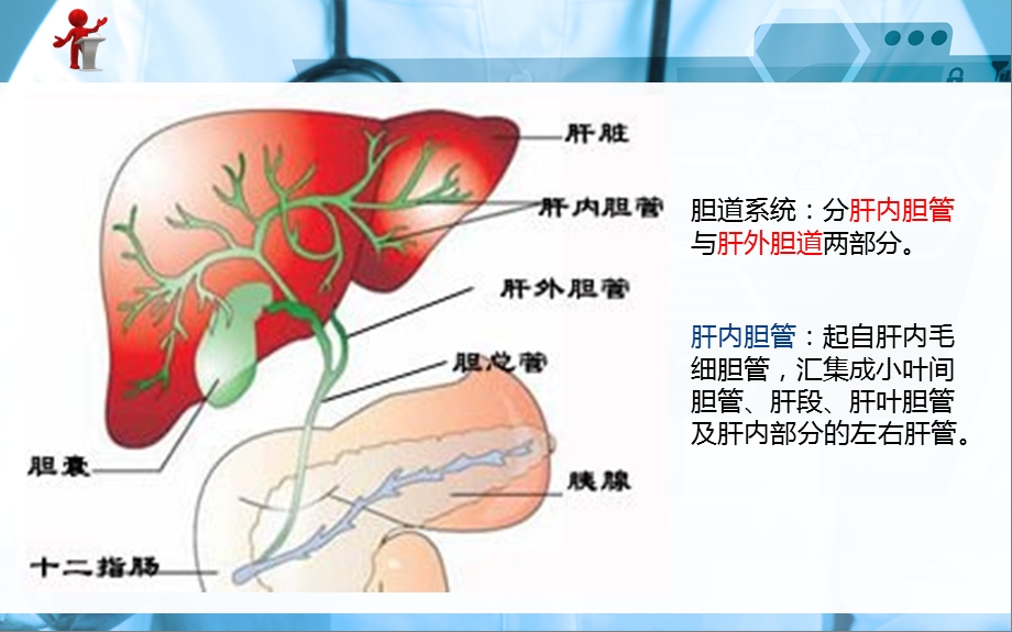 《外科护理》第十六章第四节胆道疾病病人的护理ppt课件.ppt_第2页