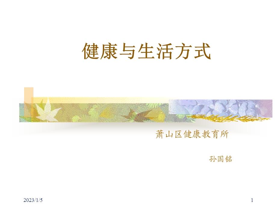 健康促进社区实施课件.ppt_第1页