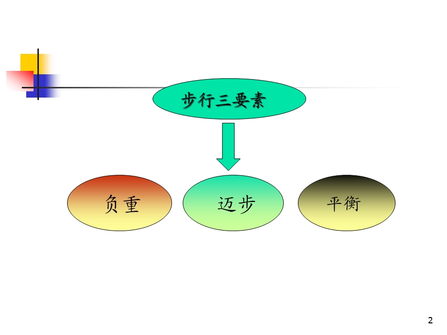 偏瘫步态分析及训练学习课件.ppt_第2页