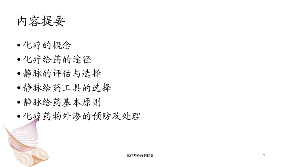 化疗静脉给药的安课件.ppt_第2页