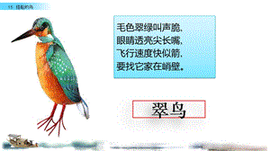 《搭船的鸟》课件PPT公开课.pptx