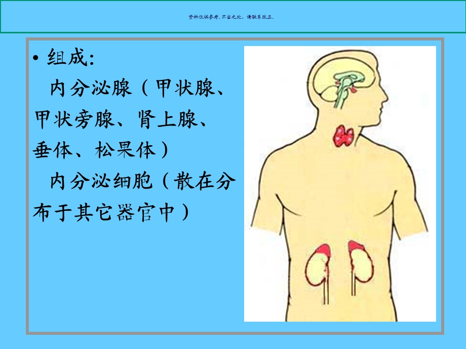 内分泌系统主题医学知识课件.ppt_第1页