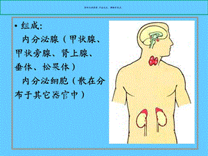 内分泌系统主题医学知识课件.ppt