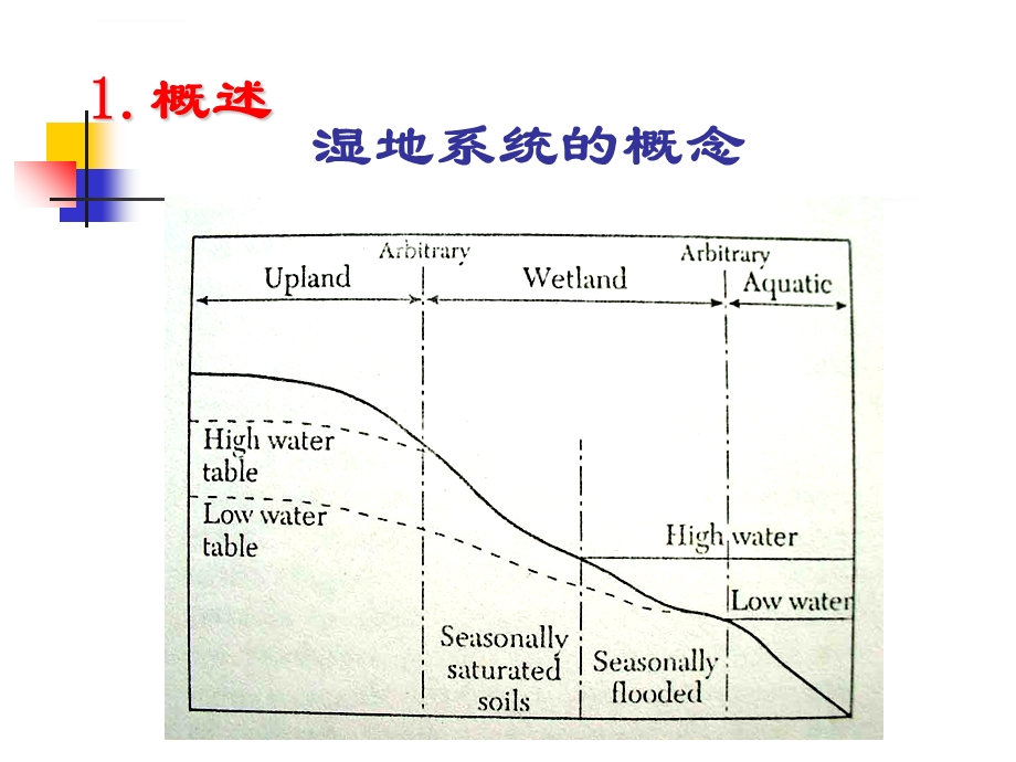 人工湿地解析ppt课件.ppt_第2页