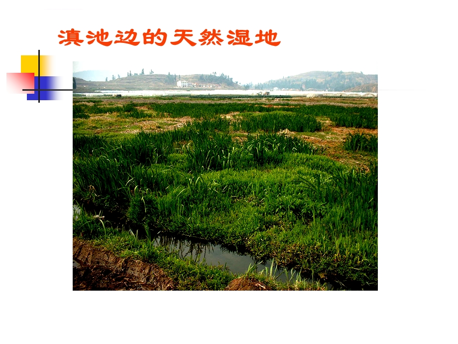 人工湿地解析ppt课件.ppt_第3页