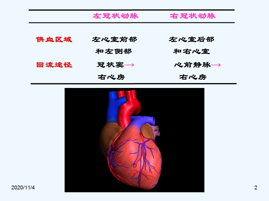 冠脉循环和心血管内分泌课件.ppt_第2页