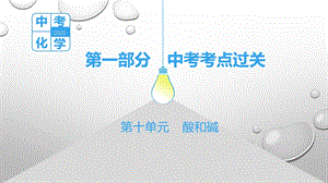 【化学】中考考点过关第10单元：酸和碱ppt课件.pptx