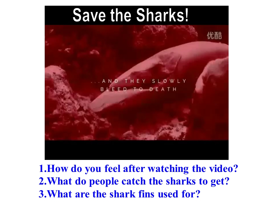 初中英语 SectionA(3a3b)SavetheSharks!教学课件设计.ppt_第3页