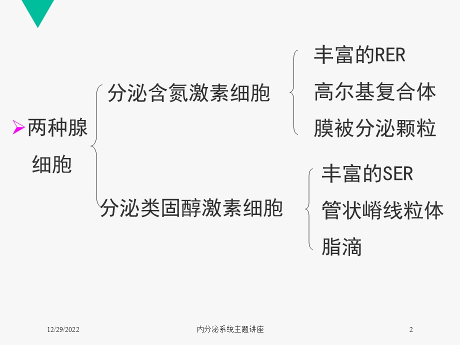 内分泌系统主题讲座课件.ppt_第2页