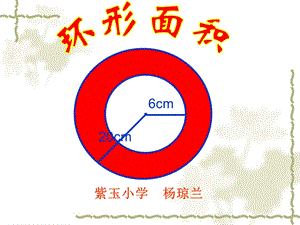 《圆环面积》PPT课件.ppt