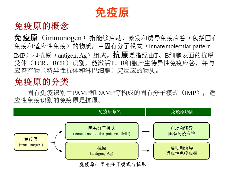 免疫原和免疫球蛋白课件.pptx_第3页