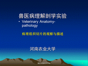 兽医病理解剖学实验课件.ppt