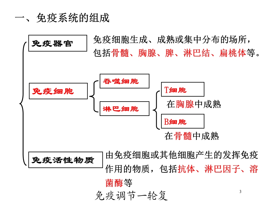 免疫调节一轮复习课件培训课件.ppt_第3页