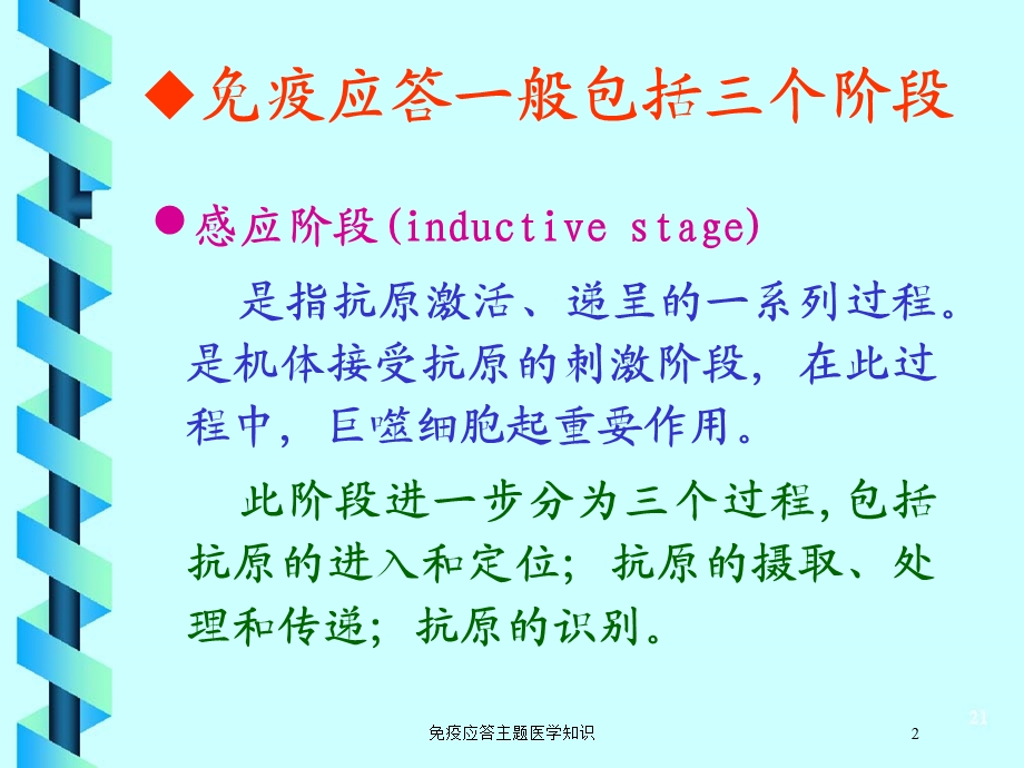 免疫应答主题医学知识培训课件.ppt_第2页