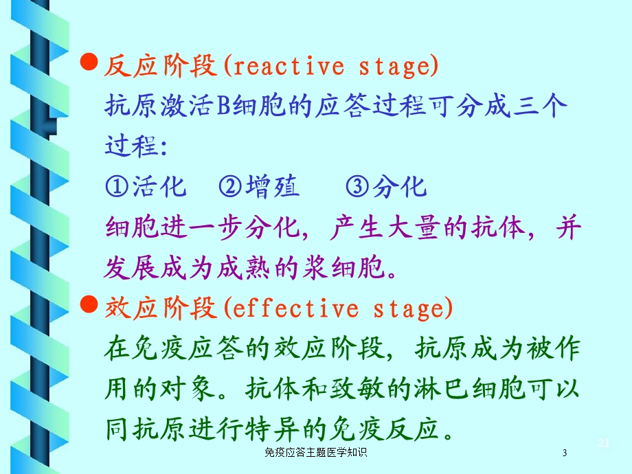 免疫应答主题医学知识培训课件.ppt_第3页