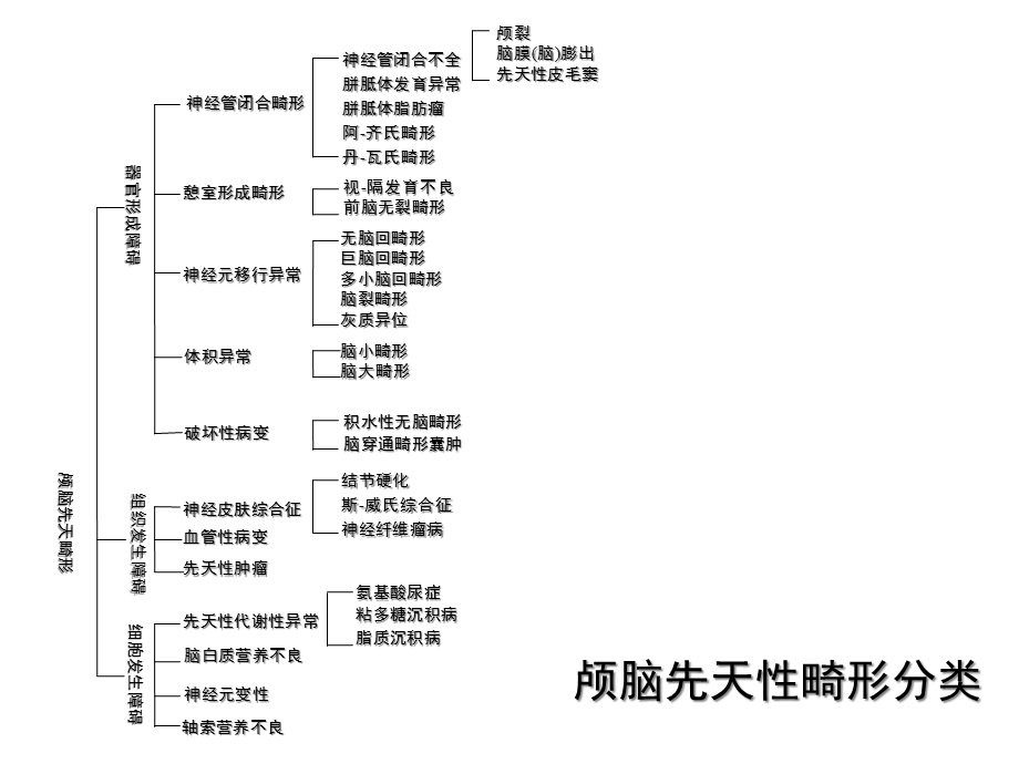 内科神经内科颅脑先天畸形课件.ppt_第3页