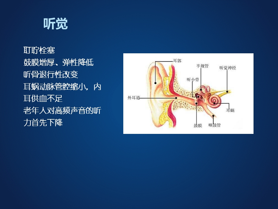 六老人认知与感知的护理课件.pptx_第3页