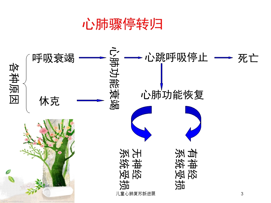 儿童心肺复苏新进展培训课件.ppt_第3页