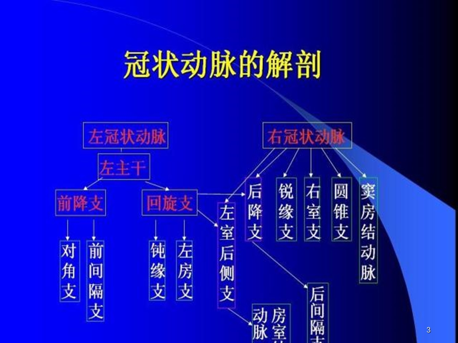 冠状动脉解剖参考课件.ppt_第3页