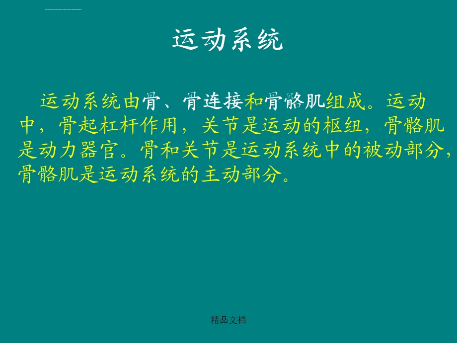 人体骨骼概述ppt课件.ppt_第1页