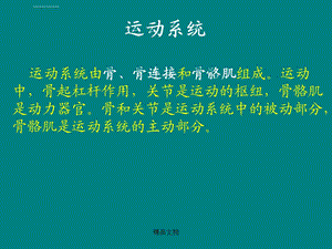 人体骨骼概述ppt课件.ppt