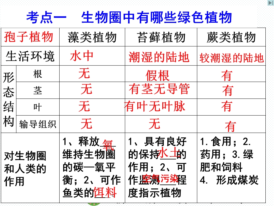 专题复习生物圈中的绿色植物ppt课件.ppt_第3页