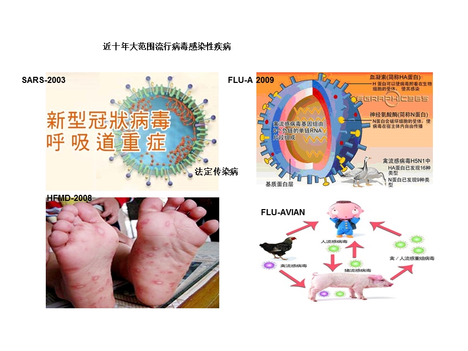 儿童病毒感染性疾病学习班课件.ppt_第3页