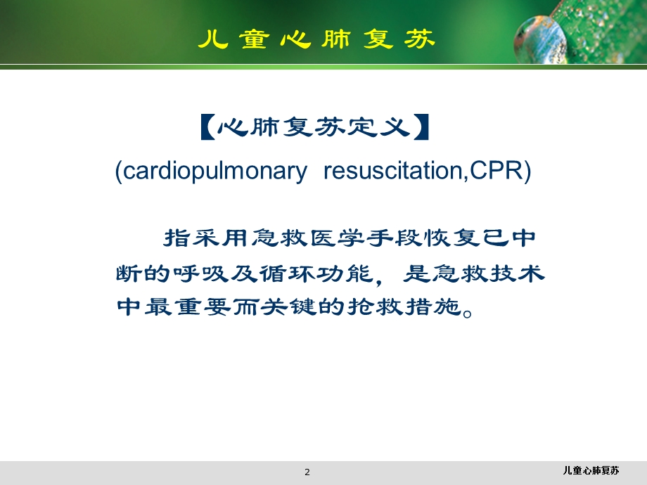 儿童心肺复苏培训课件.ppt_第2页