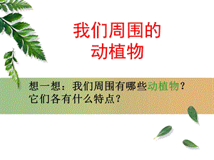 《我们身边的动植物》ppt课件.ppt