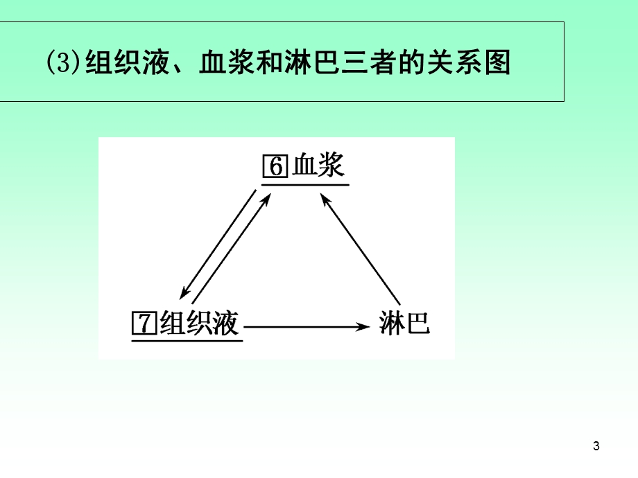 人体的内环境与稳态一轮复习公开课(课堂ppt)课件.ppt_第3页