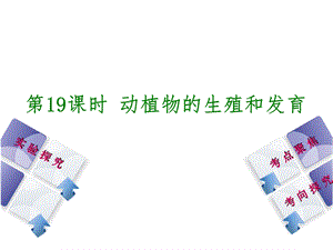 北京专版中考生物复习方案主题七生物的生殖发育和遗传变异第19课时动植物的生殖和发育课件.ppt