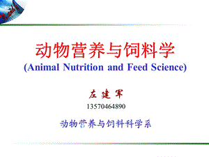 【动物营养与饲料学】第一章绪论ppt课件.ppt