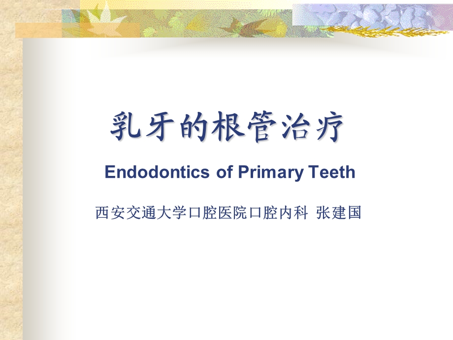 乳牙的根管治疗ppt课件.ppt_第1页