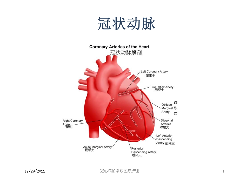 冠心病的常规医疗护理课件.ppt_第1页