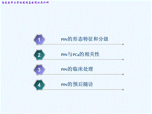 前列腺上皮内瘤与前列腺癌课件.ppt