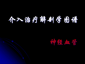 介入治疗解剖学图谱——神经血管课件.ppt