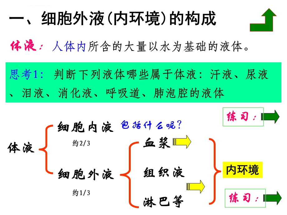 人体的内环境与稳态ppt课件.ppt_第2页