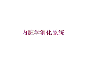 内脏学消化系统培训课件.ppt