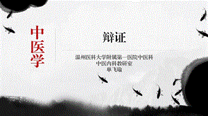 中医：辩证ppt课件.pptx