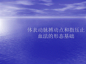 体表动脉搏动点和指压止血法的形态基础课件.pptx