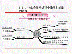 人体生命活动过程中物质和能量的转换解析ppt课件.ppt