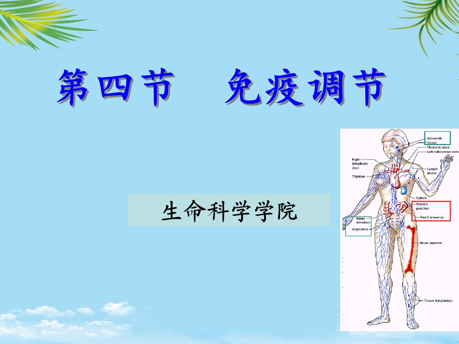 免疫调节试讲全面版课件.ppt_第1页