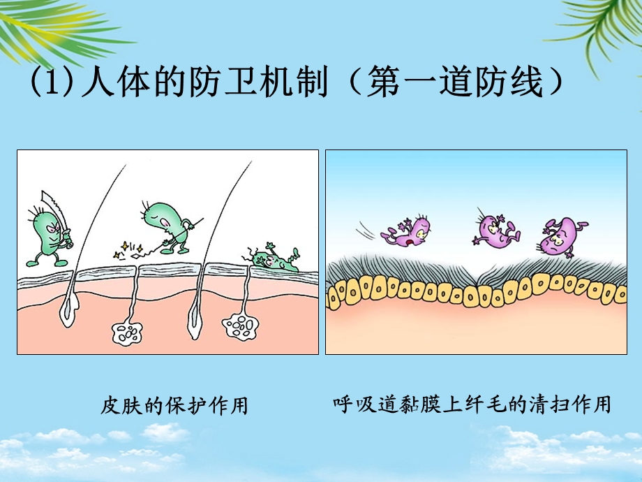 免疫调节试讲全面版课件.ppt_第2页