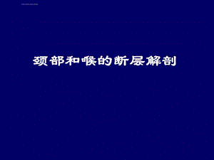 人体断层解剖学颈部和喉的断层解剖ppt课件.ppt