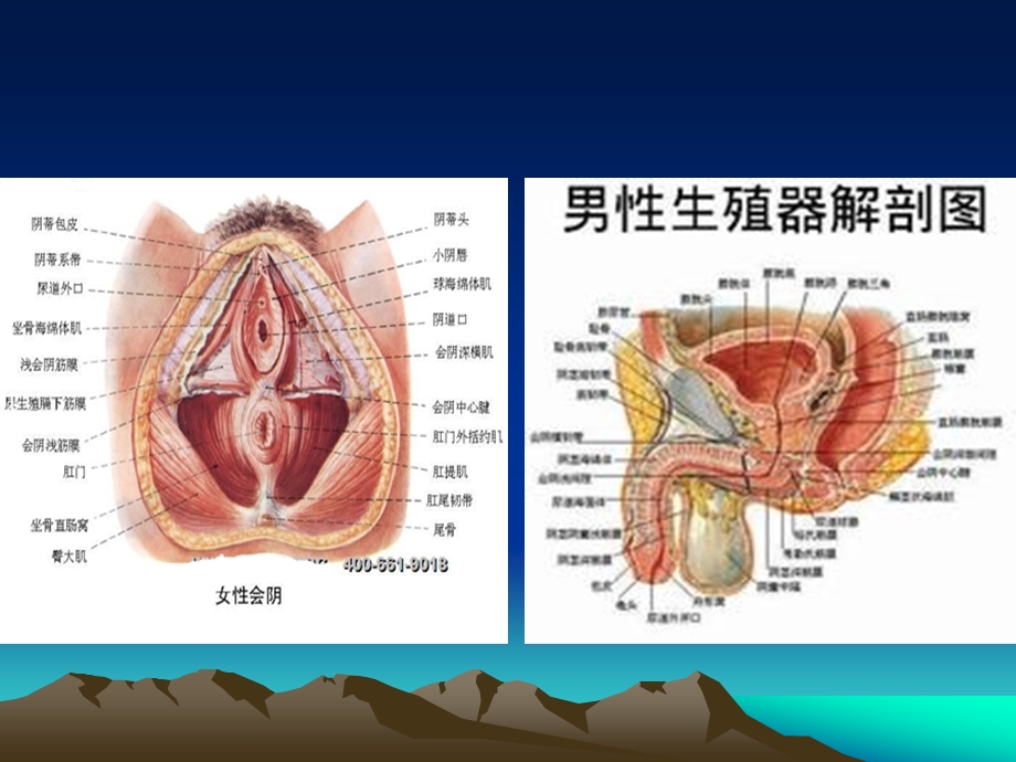 与排尿有关的护理措施ppt课件.ppt_第3页