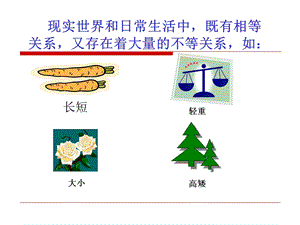 不等关系与不等式（采用）ppt课件.ppt