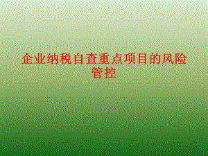 企业纳税自查重点项目的风险管控课件.pptx