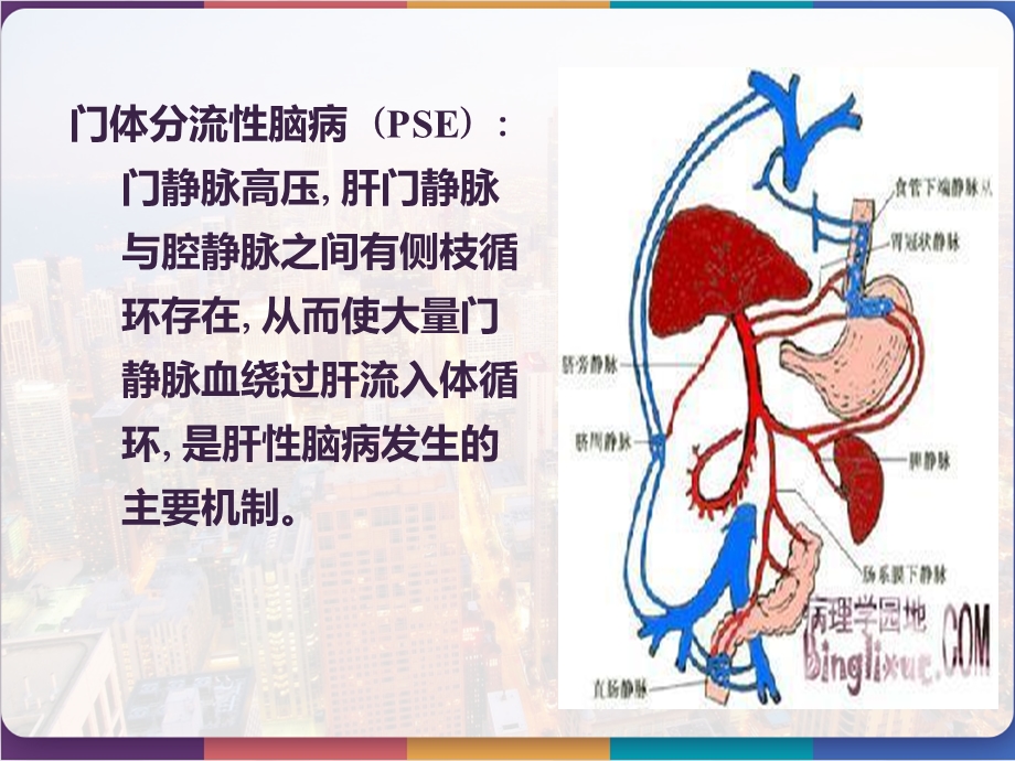 内科护理学课件肝性脑病.pptx_第2页