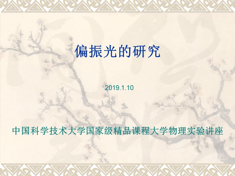 偏振光的研究课件.ppt_第1页